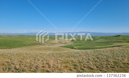 Beautiful Landscape With A Meadow Of Green Grass And Blue Sky Beautiful Landscape With A Meadow Of Green Grass And Blue Sky 137362236
