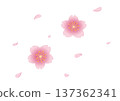 Illustration of cherry blossom petals falling Illustration of cherry blossom petals falling 137362341