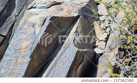 Stone background texture. Rock with petroglyphs. 137362560