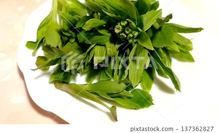 Spring Taste Flower Spring Taste Flower 137362827