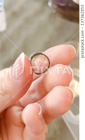Chipped color contact lenses Chipped color contact lenses 137362855