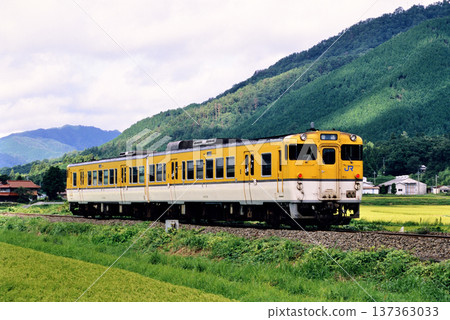 2007年：兩列紀波47系地方列車在東海道本線上運行 137363033