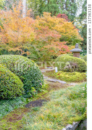 Kyoto, Higashiyama Sennyuji Temple branch temple, Unryuin (Rurizan), autumn leaves in the courtyard (view from the moon window) Kyoto, Higashiyama Sennyuji Temple branch temple, Unryuin (Rurizan), autumn leaves in the courtyard (view from the moon window) 137363138