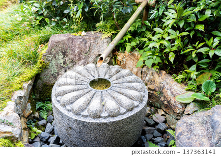 京都東山千春寺分寺雲龍院(琉璃山),寺院庭院內有水鐘(龍園沙耶木子)和伊吹龍像。 京都東山千春寺分寺雲龍院(琉璃山),寺院庭院內有水鐘(龍園沙耶木子)和伊吹龍像。 137363141