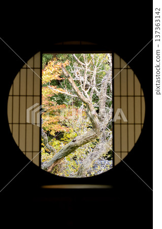 Kyoto, Higashiyama Sennyuji Temple branch temple, Unryuin (Rurizan) - View of autumn leaves in the courtyard from the window of enlightenment Kyoto, Higashiyama Sennyuji Temple branch temple, Unryuin (Rurizan) - View of autumn leaves in the courtyard from the window of enlightenment 137363142