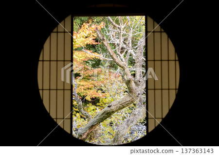 Kyoto, Higashiyama Sennyuji Temple branch temple, Unryuin (Rurizan) - View of autumn leaves in the courtyard from the window of enlightenment 137363143