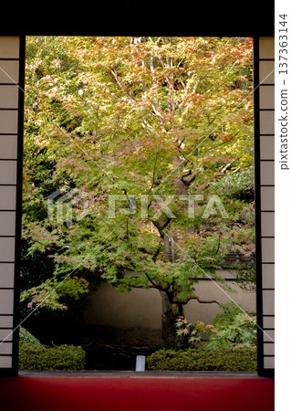 Kyoto Higashiyama Sennyuji Temple branch temple Unryuin (Rurizan) - five-colored autumn leaves seen from the Enlightenment Room Kyoto Higashiyama Sennyuji Temple branch temple Unryuin (Rurizan) - five-colored autumn leaves seen from the Enlightenment Room 137363144