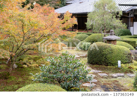 Autumn leaves in the courtyard of Unryuin (Rurizan), a branch temple of Sennyuji Temple in Higashiyama, Kyoto (view from the Enlightenment Room) 137363149