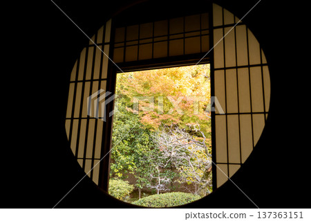 京都東山千春寺分寺雲龍院(琉璃山)-從洞見窗眺望庭院秋葉 京都東山千春寺分寺雲龍院(琉璃山)-從洞見窗眺望庭院秋葉 137363151