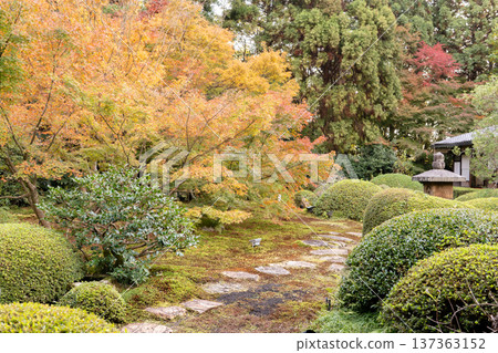 Autumn leaves in the courtyard of Unryuin (Rurizan), a branch temple of Sennyuji Temple in Higashiyama, Kyoto (view from the Enlightenment Room) 137363152