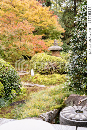 Kyoto, Higashiyama Sennyuji Temple branch temple, Unryuin (Rurizan), autumn leaves in the courtyard (view from the moon window) Kyoto, Higashiyama Sennyuji Temple branch temple, Unryuin (Rurizan), autumn leaves in the courtyard (view from the moon window) 137363154