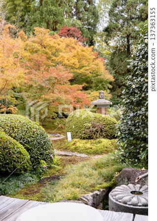 Kyoto, Higashiyama Sennyuji Temple branch temple, Unryuin (Rurizan), autumn leaves in the courtyard (view from the moon window) Kyoto, Higashiyama Sennyuji Temple branch temple, Unryuin (Rurizan), autumn leaves in the courtyard (view from the moon window) 137363155