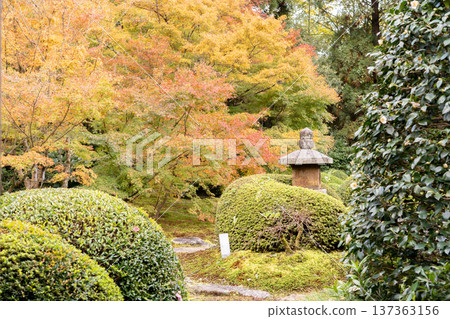 京都,東山千春寺分寺雲龍院(琉璃山),庭院秋葉(從月窗望去) 京都,東山千春寺分寺雲龍院(琉璃山),庭院秋葉(從月窗望去) 137363156