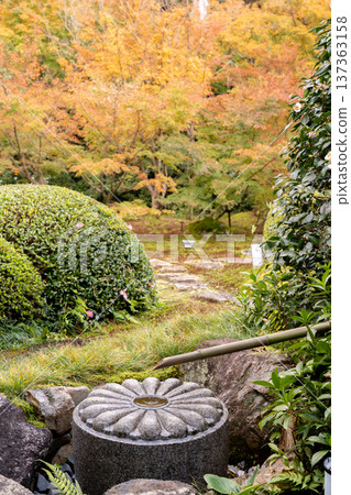 Kyoto, Higashiyama Sennyuji Temple branch temple, Unryuin (Rurizan), autumn leaves in the courtyard (view from the moon window) Kyoto, Higashiyama Sennyuji Temple branch temple, Unryuin (Rurizan), autumn leaves in the courtyard (view from the moon window) 137363158