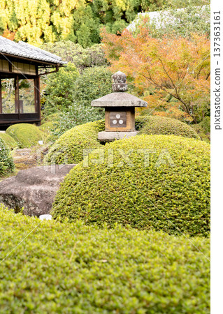 Kyoto, Higashiyama Sennyuji Temple branch temple, Unryuin (Rurizan), autumn leaves in the courtyard (view from the Renge no Ma) 137363161