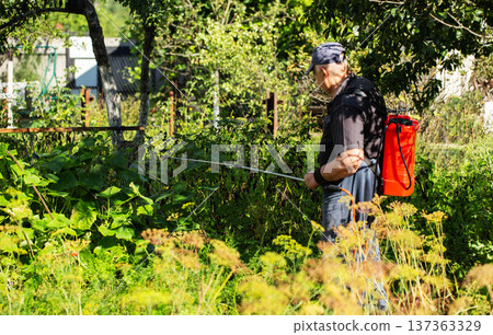A summer resident treats plants in the summer from parasites. Plant protection from diseases, copy space for text, industry A summer resident treats plants in the summer from parasites. Plant protection from diseases, copy space for text, industry 137363329