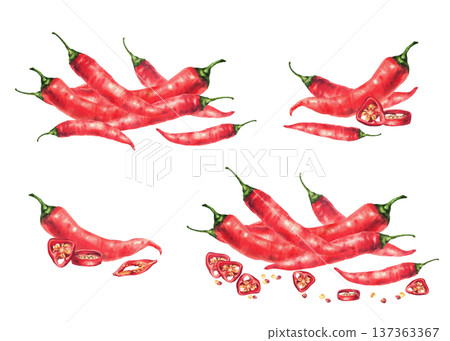 Watercolor red hot chili pepper set. Whole and cut pods round sliced with seeds. Spicy vegetable food seasoning. Hand drawn illustration on isolated white background for sauces label, menu, recipe. 137363367