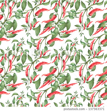 Watercolor chili pepper seamless pattern. Plant with flowers red end green pepper pods and leaves Hand drawn botanical illustration. Hot spicy garden vegetables for fabric on isolated white background Watercolor chili pepper seamless pattern. Plant with flowers red end green pepper pods and leaves Hand drawn botanical illustration. Hot spicy garden vegetables for fabric on isolated white background 137363371