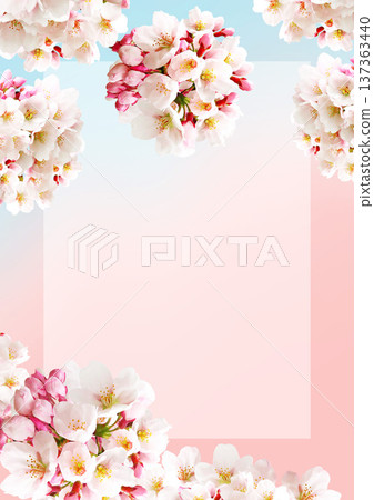 Cherry blossom background 137363440
