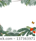 Jungle frame illustration 137363971
