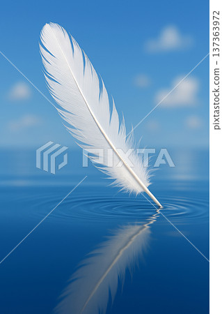 白色的羽毛在藍天上飛舞 137363972