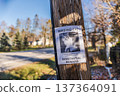 Missing cat reward poster attached to wooden utility pole on quiet suburban street in USA 137364091