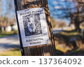 Missing puppy reward poster attached to wooden utility pole in suburban neighborhood USA 137364092