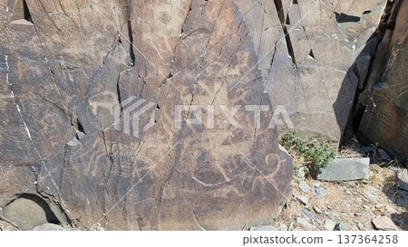 Stones with petroglyphs. Rock with the image of the animals. 137364258