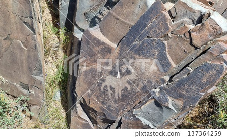 Stone with petroglyph. Rock with the image of the animal. Stone with petroglyph. Rock with the image of the animal. 137364259