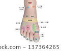 3D illustration of acupressure points on the top of the foot 137364265