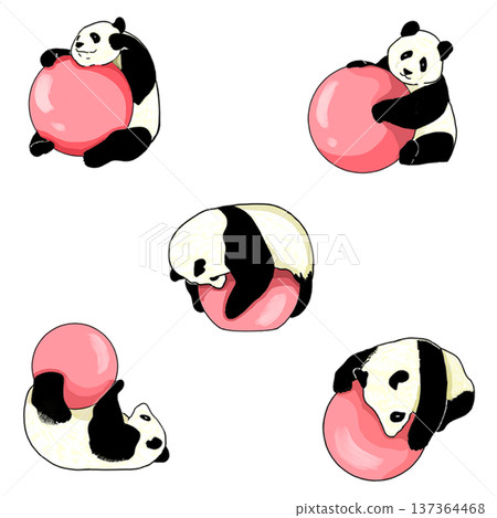 5 types of pandas playing with balls 5 types of pandas playing with balls 137364468
