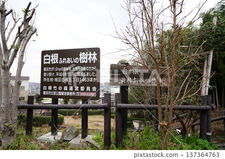 Shirane Community Forest Shirane Community Forest 137364763