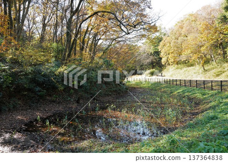 兒童自然公園 137364838