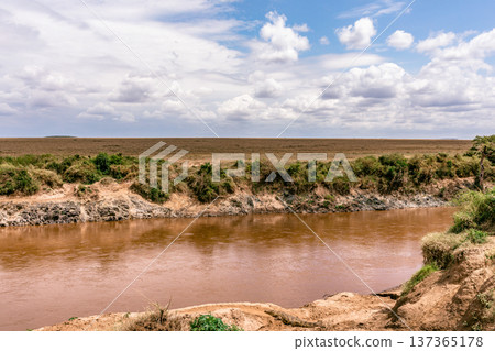 Maasai Mara National Reserve Park Narok County Kenya East Africa Wildlife Animals Wild Bush Savannah Grasslands Wilderness Birds Great Rift Valley Landscapes Panoramic Scenic Views Safaris magical 137365178