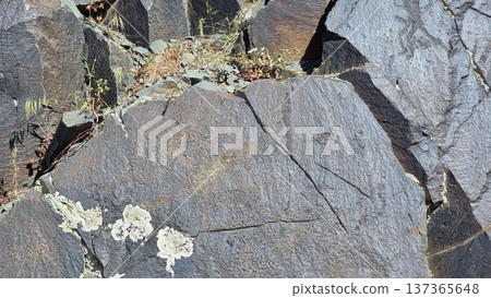 Texture of the stone. Rocks with petroglyphs. 137365648