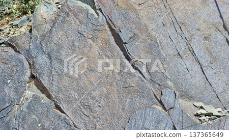 Stone texture background. Rocks with petroglyphs. 137365649