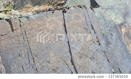 Stone wall texture background. Rocks with petroglyphs. Stone wall texture background. Rocks with petroglyphs. 137365650