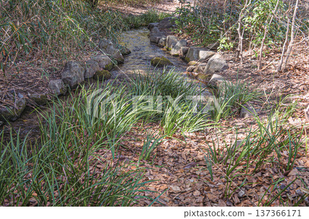 Landscape with Brooks Landscape with Brooks 137366171