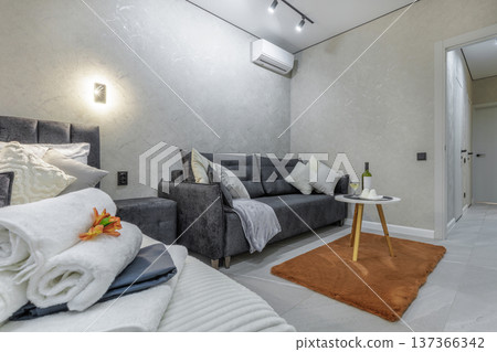 Contemporary Studio Apartment Interior with Modern Sofa and Bed Contemporary Studio Apartment Interior with Modern Sofa and Bed 137366342