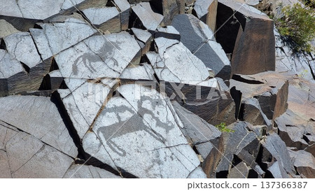 Texture of stones. Stones with petroglyphs. Texture of stones. Stones with petroglyphs. 137366387