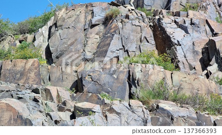 Rocks With Petroglyphs In The Mountains Rocks With Petroglyphs In The Mountains 137366393