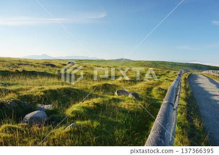 The vast grasslands of the Utsukushigahara Plateau in summer, with the blue sky as a backdrop. Ver. 2 137366395