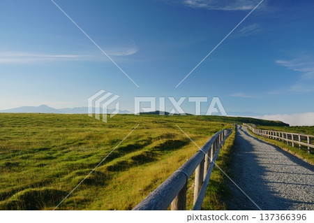 The vast grasslands of the Utsukushigahara Plateau in summer, with the blue sky as a backdrop. Ver. 1 137366396