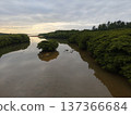 石垣島宮良川紅樹林景色 137366684