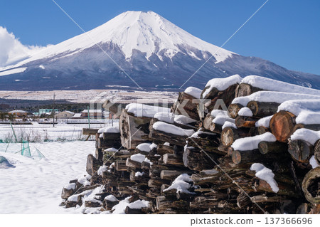 [Yamanashi Prefecture] Mt. Fuji and snow-covered logs, Oshino Village in winter 137366696