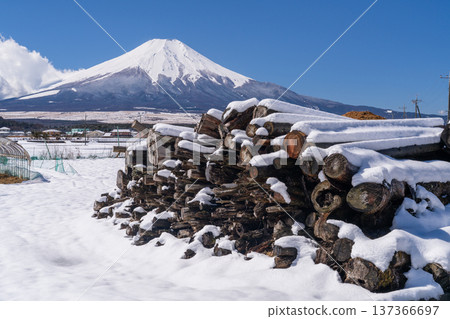 [山梨縣]富士山和白雪覆蓋的原木，冬天的忍野村 137366697
