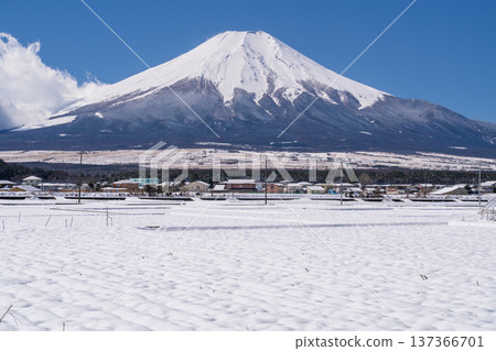 [山梨縣]富士山和雪原的田園風光/冬天的忍野村 137366701