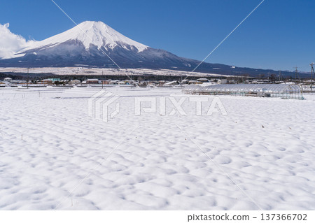 [山梨縣]富士山和雪原的田園風光/冬天的忍野村 137366702
