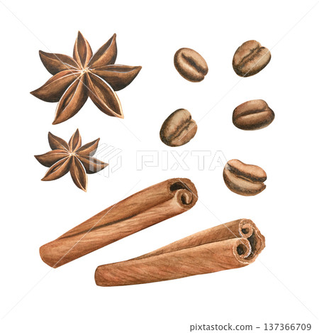 A set of watercolor cinnamon sticks, anise, and coffee beans on a white background. Delicious spices for coffee, baking, and tea. Perfect for packaging, printing, cafes, and coffee shops. A set of watercolor cinnamon sticks, anise, and coffee beans on a white background. Delicious spices for coffee, baking, and tea. Perfect for packaging, printing, cafes, and coffee shops. 137366709