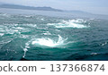 Naruto Whirlpools, Whirlpool Tourism, Naruto Strait, Tokushima Prefecture 137366874